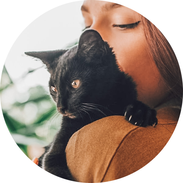 Most cats are not used to riding in the car, but with some calming music, pheromones, and practice, your cat can become accustomed to taking a ride. 